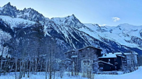 Cosy flat on the slopes and centre of Chamonix